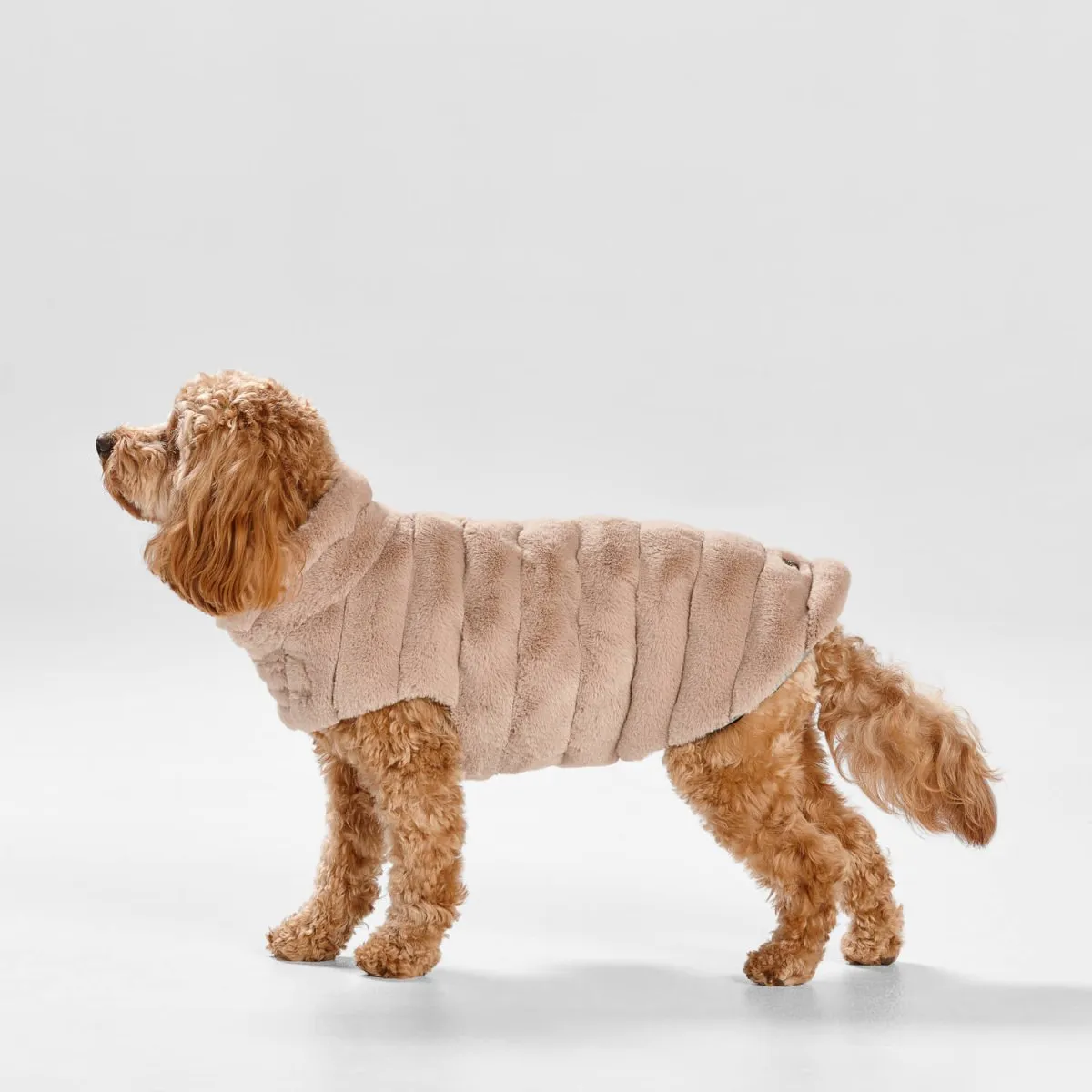 Cut Faux Fur Dog Coat in Almond