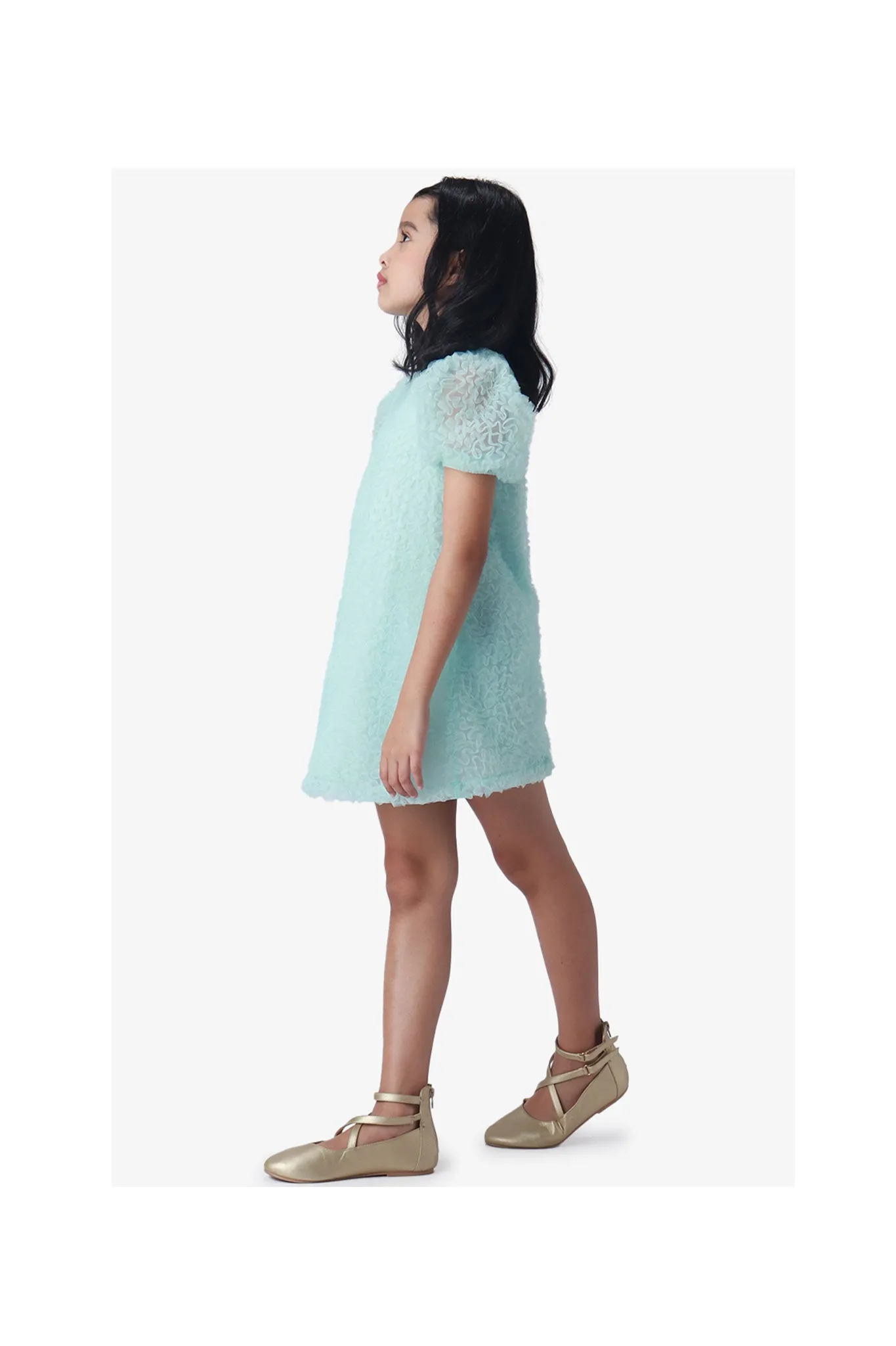 Gingersnaps Puff Sleeves Shift Swirl Tulle Dress