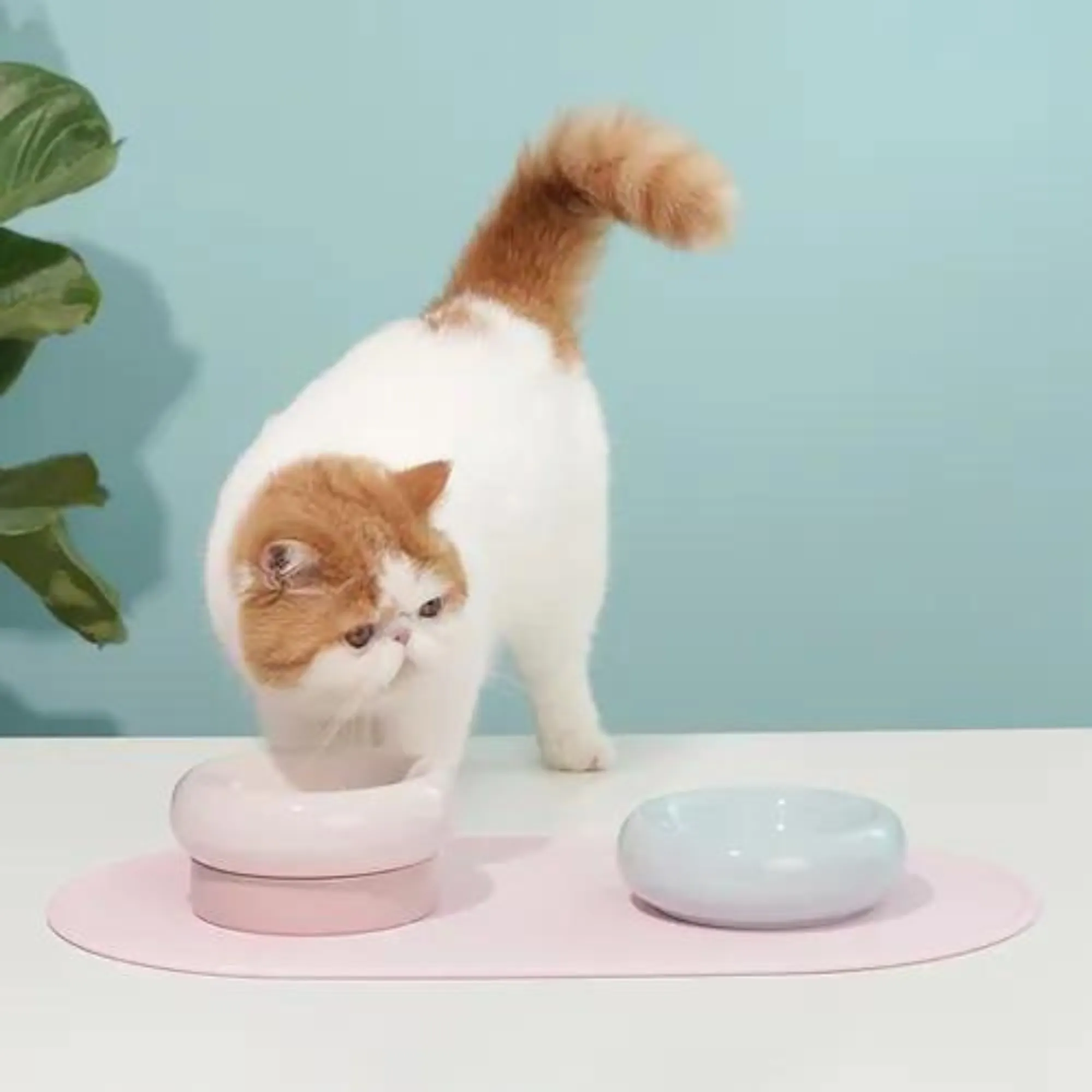 Makesure Dual Layer Ceramic Pet Bowl Green