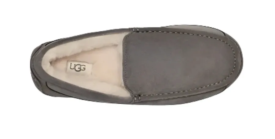 MEN'S UGG ASCOT SLIPPER | GREY