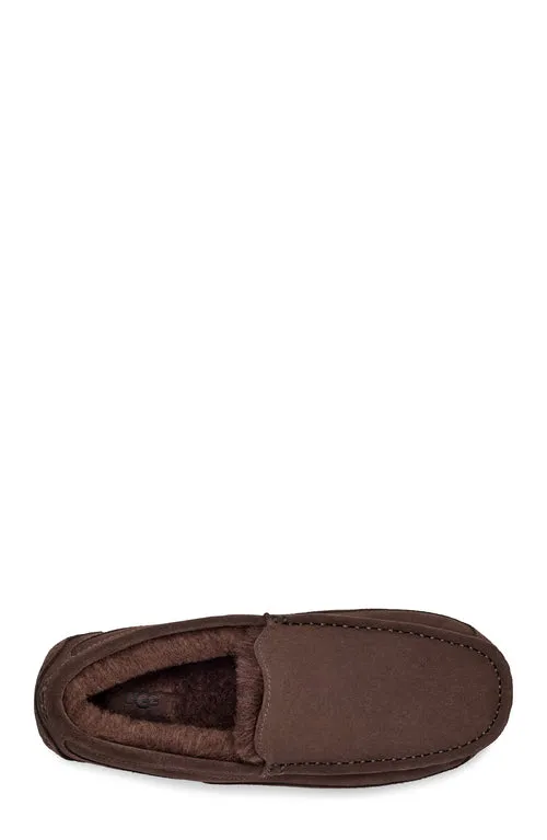 UGG Men's Ascot Slipper